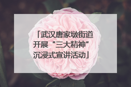 武汉唐家墩街道开展“三大精神”沉浸式宣讲活动