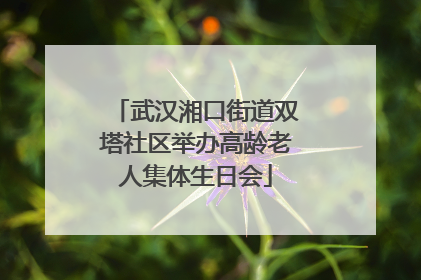 武汉湘口街道双塔社区举办高龄老人集体生日会