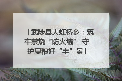 武陟县大虹桥乡：筑牢禁烧“防火墙” 守护夏粮好“丰”景