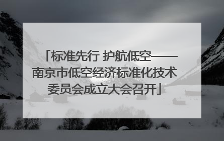 标准先行 护航低空——南京市低空经济标准化技术委员会成立大会召开