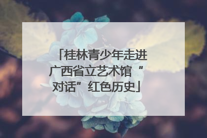 桂林青少年走进广西省立艺术馆“对话”红色历史