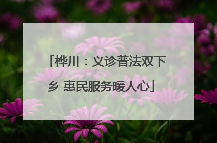 桦川：义诊普法双下乡 惠民服务暖人心