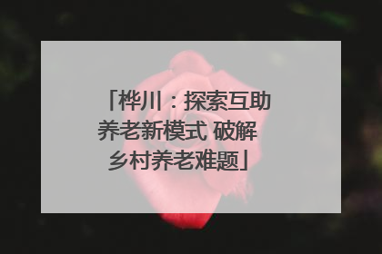 桦川：探索互助养老新模式 破解乡村养老难题