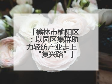 榆林市榆阳区：以园区集群助力轻纺产业走上“复兴路”