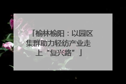 榆林榆阳：以园区集群助力轻纺产业走上“复兴路”
