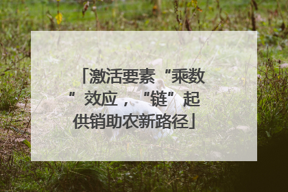 激活要素“乘数”效应，“链”起供销助农新路径