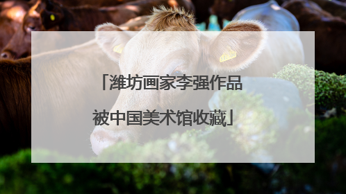 潍坊画家李强作品被中国美术馆收藏