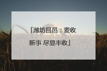 潍坊昌邑：麦收新事 尽显丰收