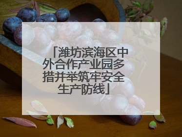 潍坊滨海区中外合作产业园多措并举筑牢安全生产防线