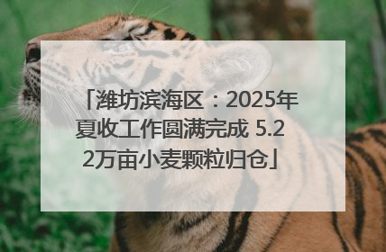 潍坊滨海区：2025年夏收工作圆满完成 5.22万亩小麦颗粒归仓