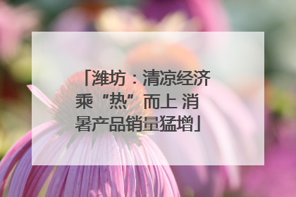 潍坊：清凉经济乘“热”而上 消暑产品销量猛增