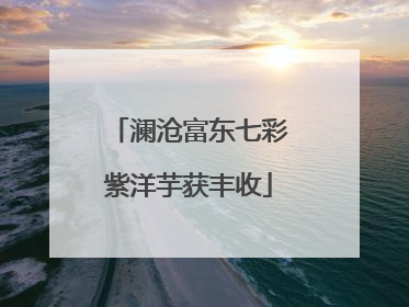 澜沧富东七彩紫洋芋获丰收