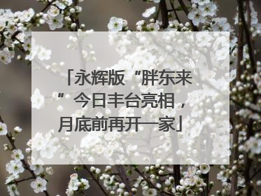 永辉版“胖东来”今日丰台亮相，月底前再开一家