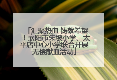 汇聚热血 铸就希望！襄阳市朱坡小学、太平店中心小学联合开展无偿献血活动