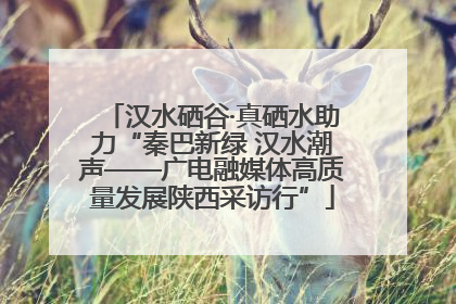 汉水硒谷·真硒水助力“秦巴新绿 汉水潮声——广电融媒体高质量发展陕西采访行”