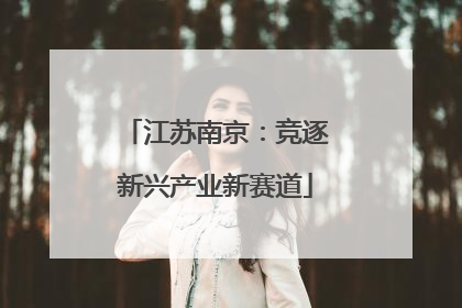 江苏南京：竞逐新兴产业新赛道