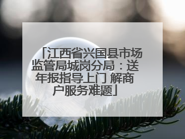 江西省兴国县市场监管局城岗分局：送年报指导上门 解商户服务难题