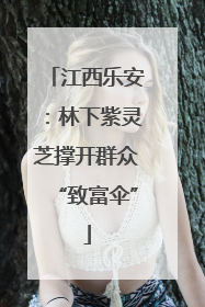 江西乐安：林下紫灵芝撑开群众“致富伞”