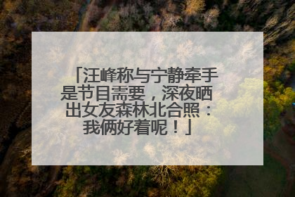 汪峰称与宁静牵手是节目需要，深夜晒出女友森林北合照：我俩好着呢！