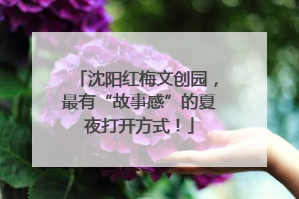 沈阳红梅文创园，最有“故事感”的夏夜打开方式！