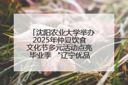 沈阳农业大学举办2025年仲夏饮食文化节多元活动点亮毕业季 “辽宁优品”进校园首站启动