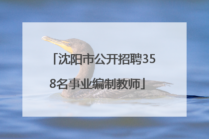 沈阳市公开招聘358名事业编制教师