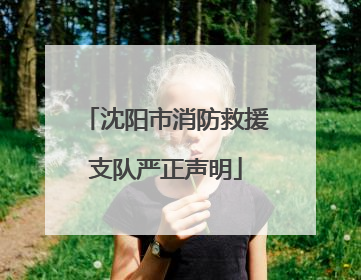 沈阳市消防救援支队严正声明