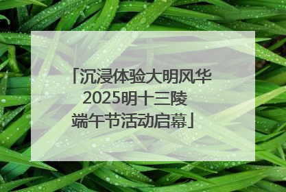 沉浸体验大明风华 2025明十三陵端午节活动启幕