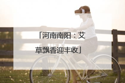 河南南阳：艾草飘香迎丰收
