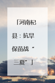 河南杞县：抗旱保苗战“三夏”