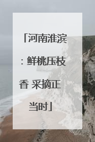河南淮滨：鲜桃压枝香 采摘正当时