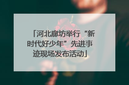 河北廊坊举行“新时代好少年”先进事迹现场发布活动