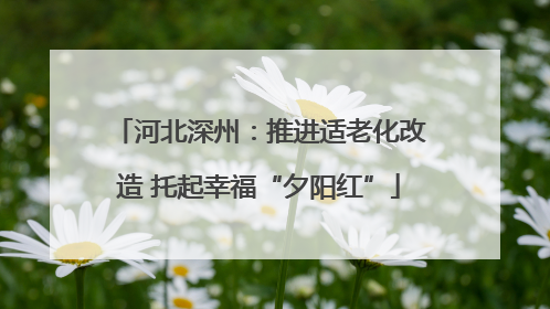 河北深州：推进适老化改造 托起幸福“夕阳红”