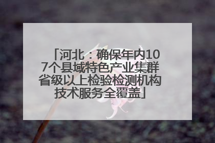 河北：确保年内107个县域特色产业集群省级以上检验检测机构技术服务全覆盖