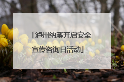 泸州纳溪开启安全宣传咨询日活动
