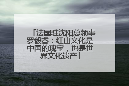 法国驻沈阳总领事罗毅睿：红山文化是中国的瑰宝，也是世界文化遗产
