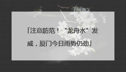 注意防范！“龙舟水”发威，厦门今日雨势仍劲