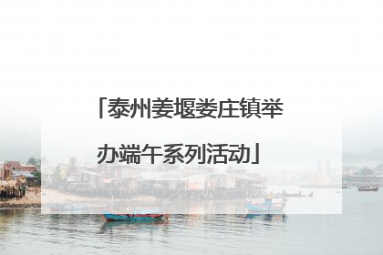 泰州姜堰娄庄镇举办端午系列活动