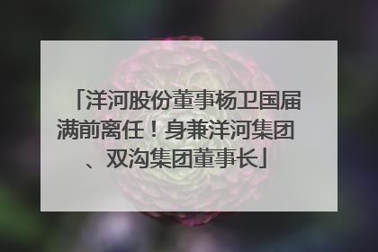 洋河股份董事杨卫国届满前离任！身兼洋河集团、双沟集团董事长