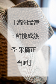 洛阳孟津：鲜桃成熟季 采摘正当时