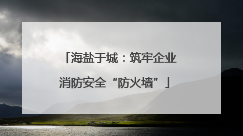 海盐于城：筑牢企业消防安全“防火墙”