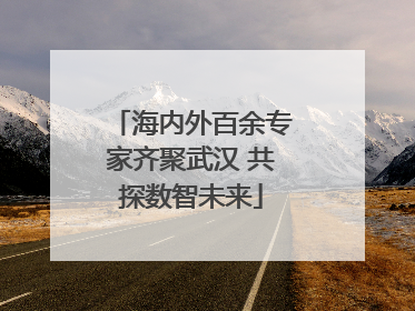 海内外百余专家齐聚武汉 共探数智未来