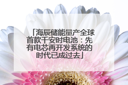 海辰储能量产全球首款千安时电池：先有电芯再开发系统的时代已成过去
