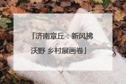 济南章丘:新风拂沃野 乡村展画卷