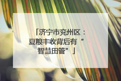 济宁市兖州区：夏粮丰收背后有“智慧田管”