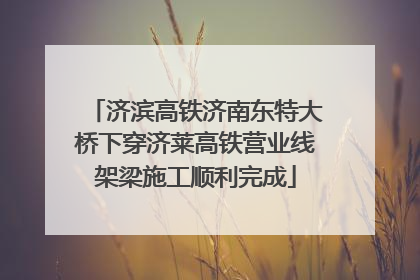 济滨高铁济南东特大桥下穿济莱高铁营业线架梁施工顺利完成