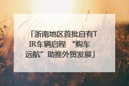 浙南地区首批自有TIR车辆启程 “购车远航”助推外贸发展