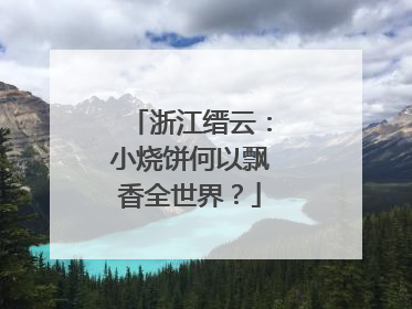 浙江缙云：小烧饼何以飘香全世界？