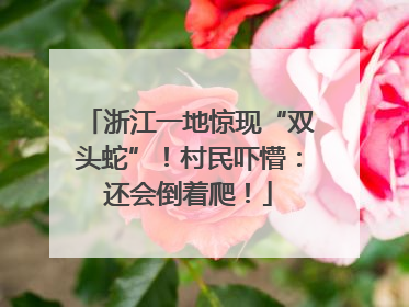 浙江一地惊现“双头蛇”！村民吓懵：还会倒着爬！