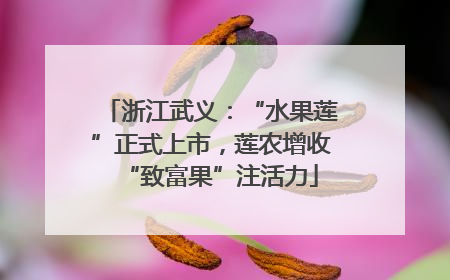 浙江武义：“水果莲”正式上市，莲农增收“致富果”注活力